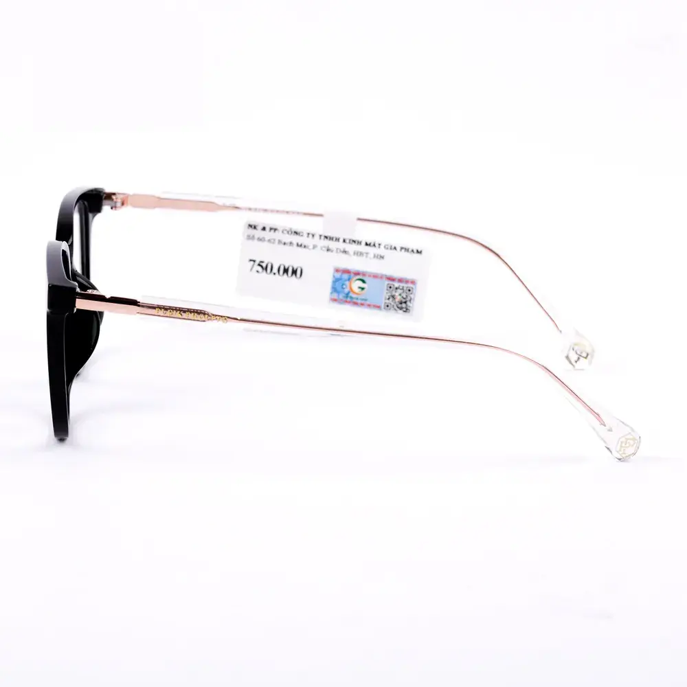 Gọng kính Pleik Pholppe PP25028 C4