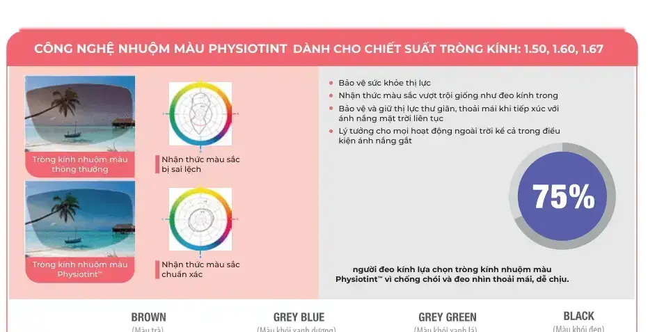 Tròng kính râm cận Essilor Suntints chính hãng | Bảng màu 2025