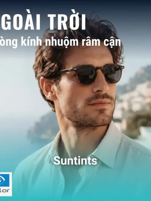 Tròng kính râm cận Essilor Suntints chính hãng | Bảng màu 2025